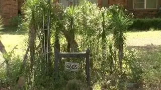 Witchcraft Suspected In Savage Murder Of Florida Family