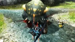 Monster Hunter  3 U - Finally Starting G-Rank / Dual Arzuros Quest
