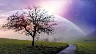 Spacemind - Dream Phenomena