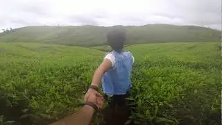 Bonami Tea Estate, Vagamon | OnTheRoad | The Rider on Wheels