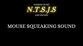 1 Minute of Mouse Squeak Sound
