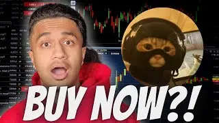 $MASK NEW ALL TIME HIGH COMING SOON?! CATWIFMASK PRICE PREDICTION!!