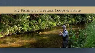 Fly Fishing Paradise in New Zealand | Treetops Lodge Adventure