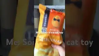 Real or fake cat toy #cat #fun #challenge