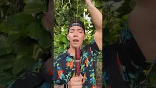 The Chicken Is Fine…I Think 🐓 #Sugarcane