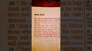 Mark 16:16 (He who Believes and is Baptized will be Saved; but...) JESUS IS LORD