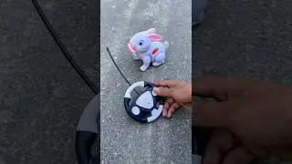 Amar Remote Control Rabbit Unboxing😍