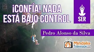 &iexcl;Conf&iacute;a! Nada est&aacute; bajo control, por Pedro Alonso da Silva
