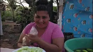 Comiendo manguitos