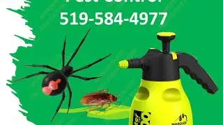 enzappers pest control Cambridge Ontario Canada