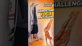 Handstand Yoga 🔥 Build Strength, Balance & Confidence | Yoga Shorts #viral #yoga #fitness #shorts