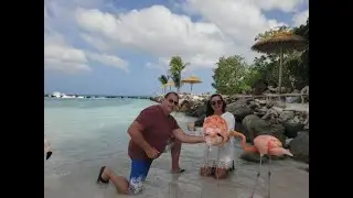 Marc & Mandy's Aruba Adventure