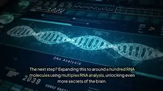 Novel Imaging Technique Offers Comprehensive RNA Analysis Across the Brain