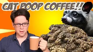 Trying Cat Poop Coffee from Indonesia Taste Test | Hey Jay Eats!