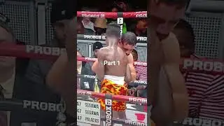 Segawa vs Palacios Galvan #viral #boxing #reaction