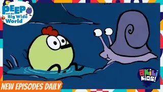 Peep And The Big Wide World | Peep's Night Out | Akili Kids!