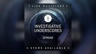 2FM040 || Investigative Underscores
