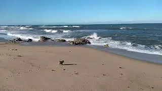 Xiaomi Redmi Note 8 with Google Camera GCam 4K Video Test
