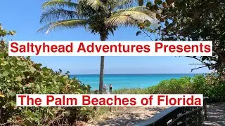 The Palm Beaches of Florida with Saltyhead