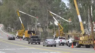 2.8k unsafe trees being cut down in Poway to reduce risk of dry brush, downed trees