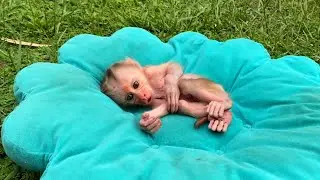 This Cute Voice First Of NB To Callinq Mom For Milk