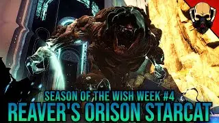 Reaver's Orison | Sneaky Starcat Location | Week #4 | Destiny 2 Season of The Wish