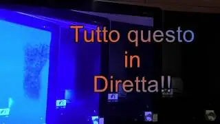 Metavisione manifestazione volto live