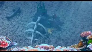 Death Is Apon Us 4: Under Water