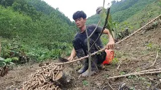Back to Cassava Farm, Caring for Pigs and Chickens, Building Life, Episode 107