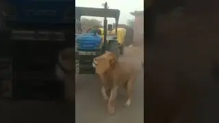 Ai robot dhaakad video #gameskhelkarpaisekai #automobile #funny #song Sher like