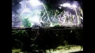 3.370 L Amazon predators tank - testing of rain system 19/02/2016