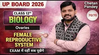 Female Reproductive System | Ovary (Ovaries) | Class 12 Biology