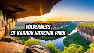 Kakadu National Park: Where Ancient Landscapes Meet Epic Adventures 🇦🇺