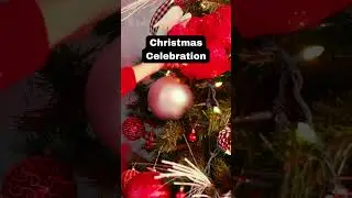 Christmas Celebration #christmas #Joyful #winterwonderland #merrychristmas  #christmasmagic #jesus