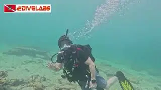29. Aug 2025. StarWars Dive 2, Lauder-by-The-Sea, Florida
