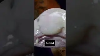 А вы знали, что АСТЕРОИДЫ... (Часть 1)