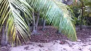 Lawson Rock Beachfront Lot