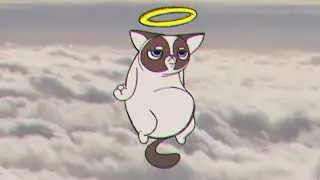 RIP Grumpy Cat
