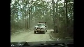 Hinterland Hummer H2 safari trip, Gold Coast, Queensland, Australia