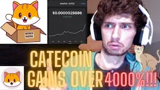 Catecoin Makes Over 4000% Gains!!!
