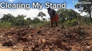 Planting Nyimo the Traditional Way — Village Life Zimbabwe”