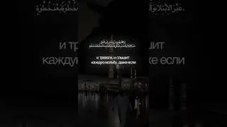 #allah #islam #miracleofallah #shorts Аллоҳ шундай деди 11