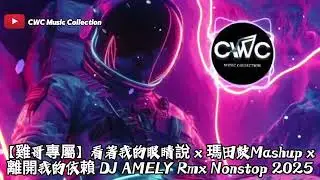 【雞哥專屬】看著我的眼睛說 x 瑪田鼓Mashup x 離開我的依賴 x 天公仔 DJ AMELY Rmx Nonstop 2025