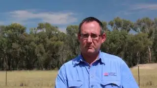 Wild dog management -  role of Local Land Services