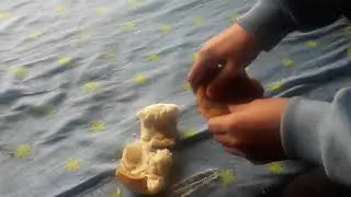 Como hacer sandwich de milanesa - HumorLife