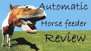 Automatic horse feeder comparison