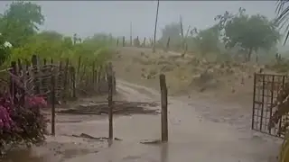🇧🇷 CHUVA NO CEARÁ, REGISTROS DE VÁRIOS MUNICÍPIOS 17/01/2026