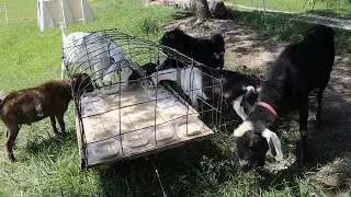 Building a MOBILE Mineral Buffet