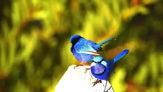 RESTORATION OF THE NERVOUS SYSTEM/ Heavenly Violin/Relaxing Violin Music/