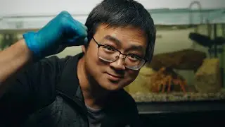 Feeding Lobster Bluefin Tuna? Saltwater Tank Adventures Canister Clean&Water Flow&Growth Experiments
